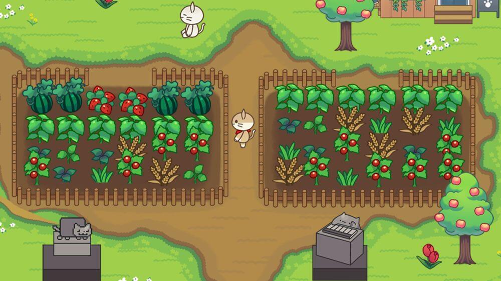 Cat Forest – Healing Camp