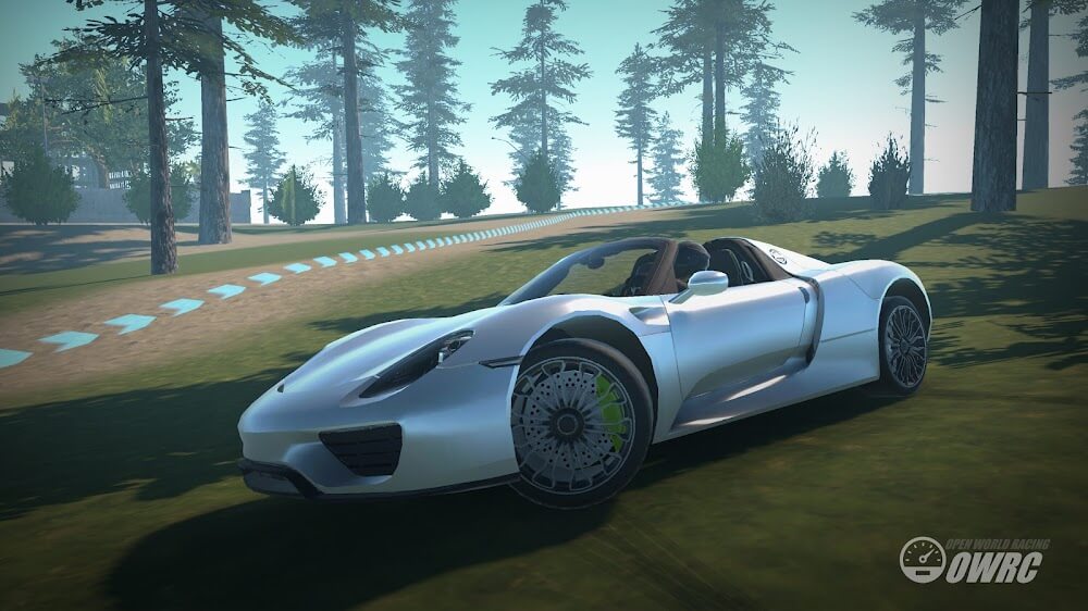 OWRC: Open World Racing