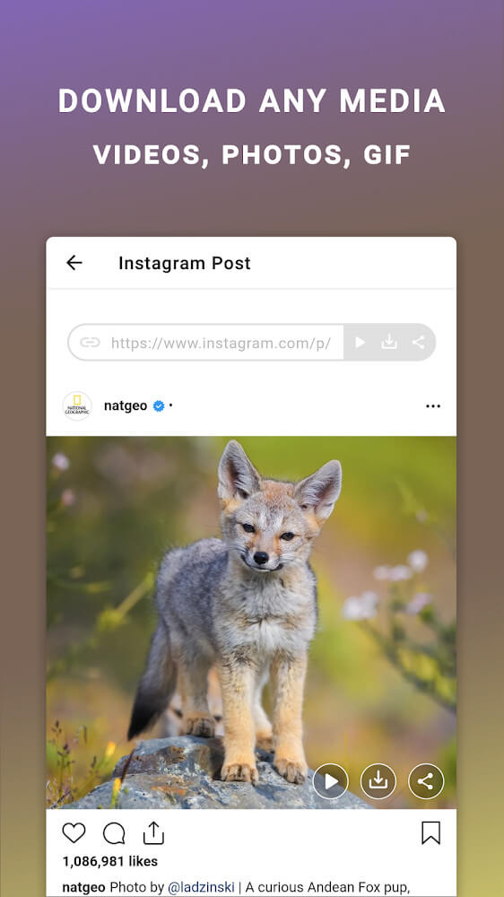 Friendly IQ – Smart tools for your social accounts